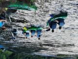 Fotogalerie vodák 2025, foto č. 172